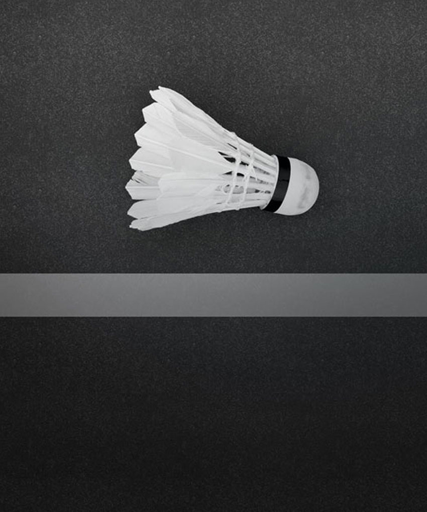 shuttlecock on court